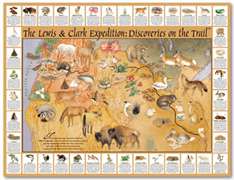 A large poster showing the Expedition's path cross the continent with various animals and plants along it where they first saw them. Around the edge of the poster each of the animals and plants is named and described.