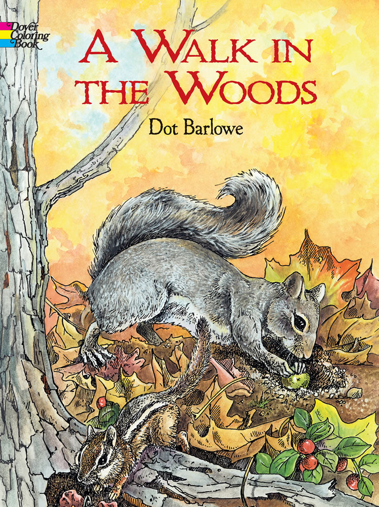 Coloring Book: Camping or Walk in The Woods