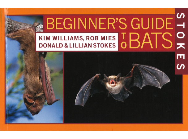 Beginner's Guide to Bats