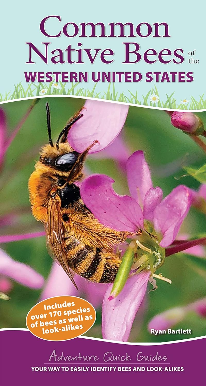 Native Bees Western US