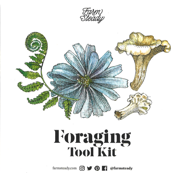 Foraging Tool Kit SALE