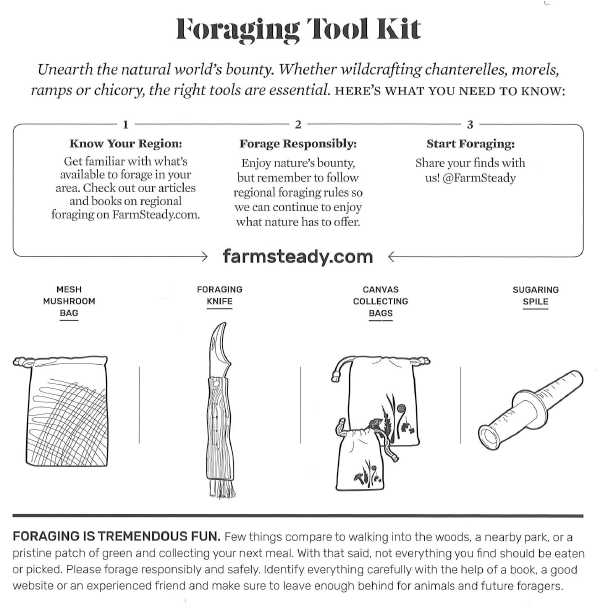 Foraging Tool Kit SALE