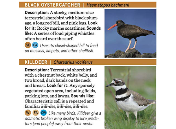 PNW Birds Lowland/Coast