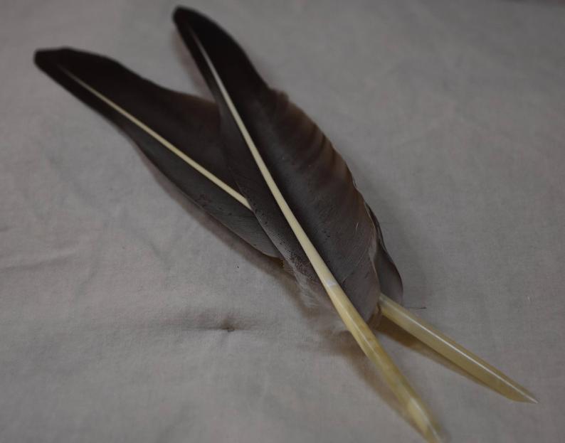Quill Pen Handmade