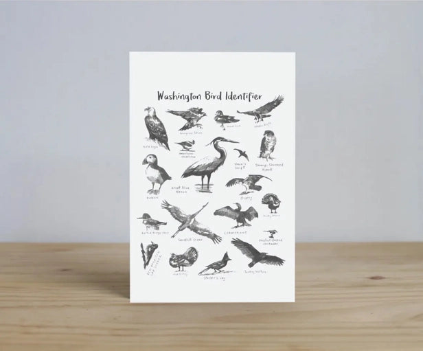 A postcard titled "Washington Bird Identifier" with a myriad of different birds native to Washington State on it.