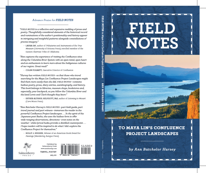 Field Notes To Maya Lin's Confluence Project Landscapes