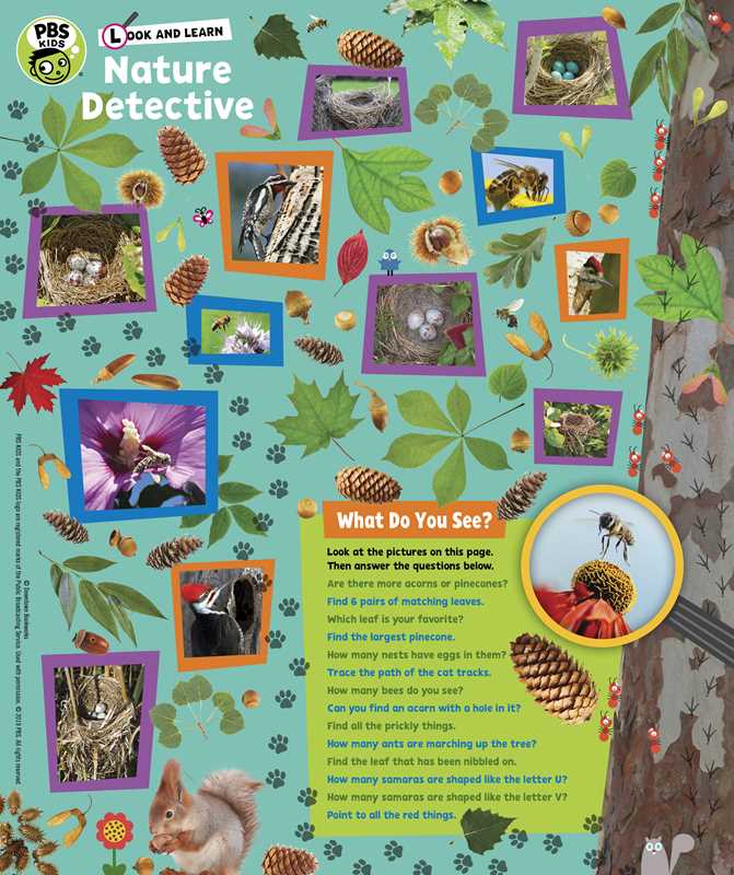 Look and Learn Nature Detective by Sarah Parvis: Novelty; 64 pages / English