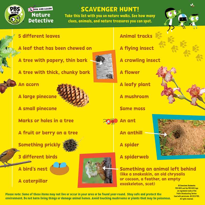 Look and Learn Nature Detective by Sarah Parvis: Novelty; 64 pages / English