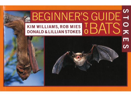 Beginner's Guide to Bats