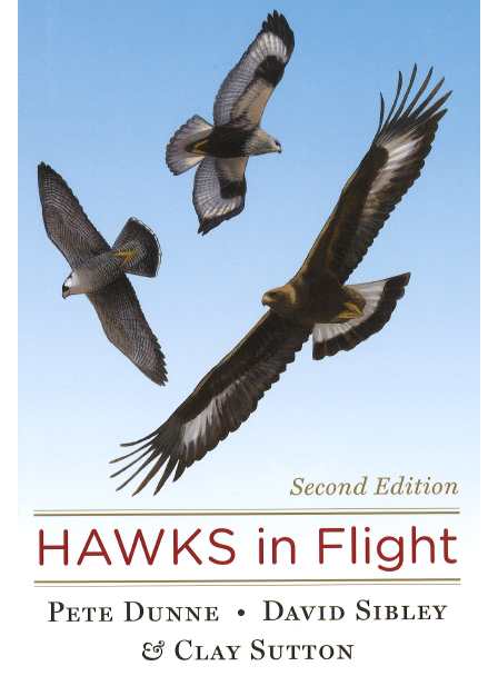 Hawks in Flight