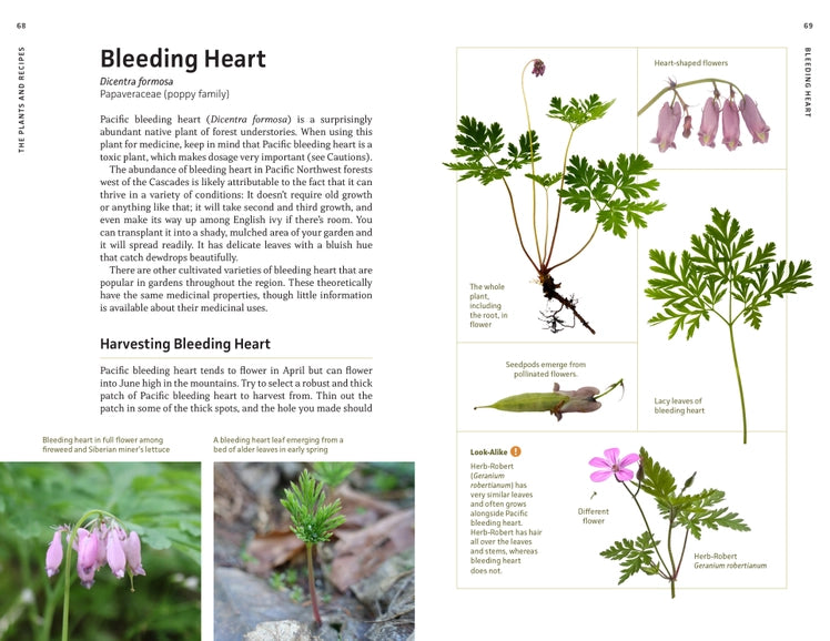 Medicinal Plants of the PNW