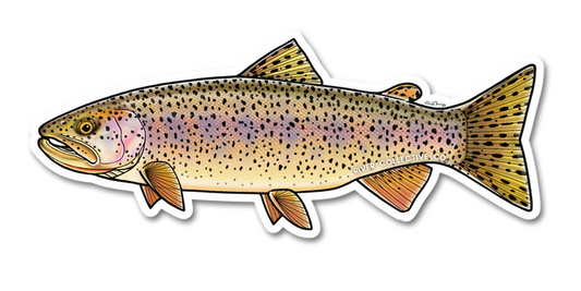 Coastal Cutthroat Trout Decal