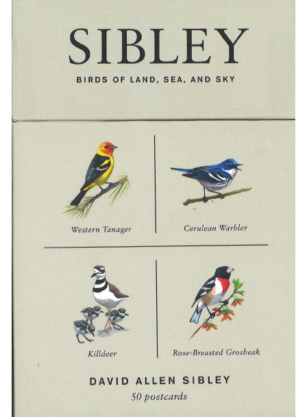 Postcards: Sibley Birds box