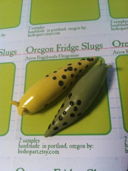 Magnet: Slugs