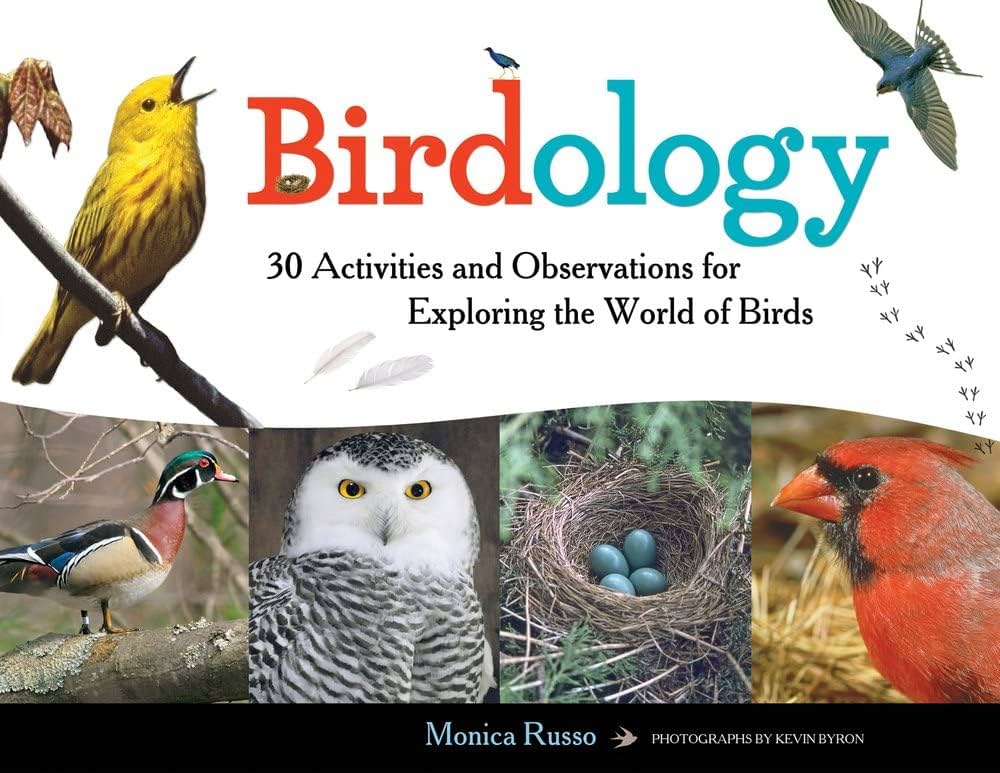 Birdology Activity Book