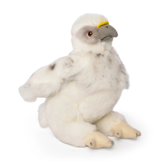 Plush Eagle Chick