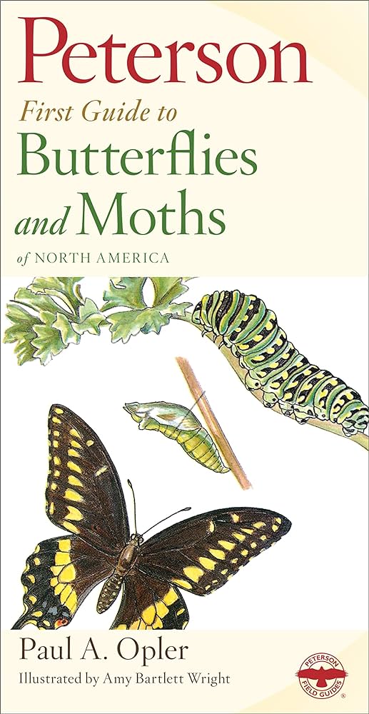 Peterson First Guide to Butterflies and Moths