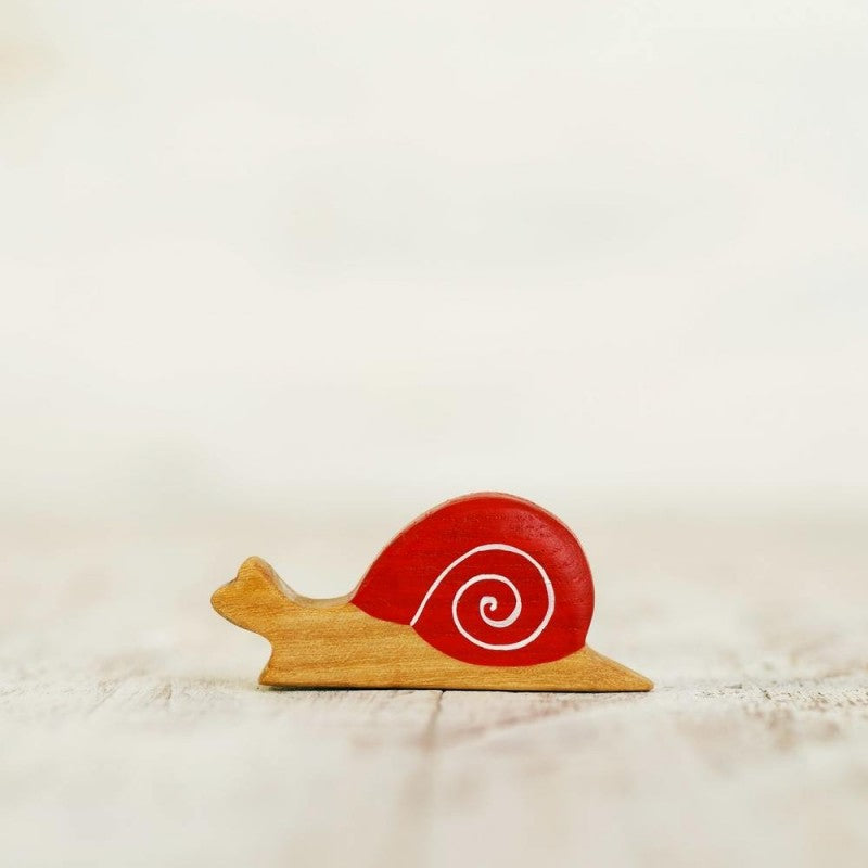 Wooden Snail NATURE DISPLAY